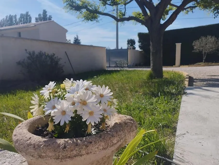 Maisonnette En Campagne Au Calme Carpentras Holiday home