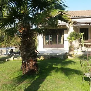Provence Carpentras