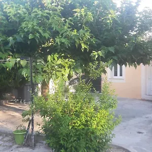 Ogooue Carpentras